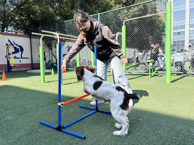 “汪汪特工队”亮相 服务犬驯养师“入编”驱动行业升级